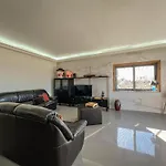 The Ocean View *